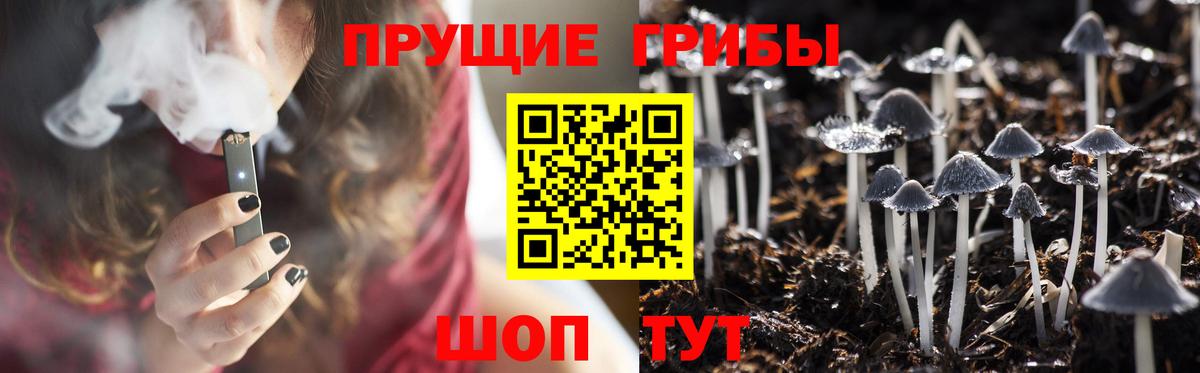 Псилоцибиновые грибы прущие грибы  Вход с VPN  Кострома 